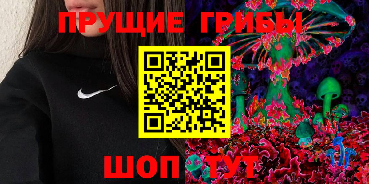 Волхов  Галлюциногенные грибы MAGIC MUSHROOMS  Вход с VPN 