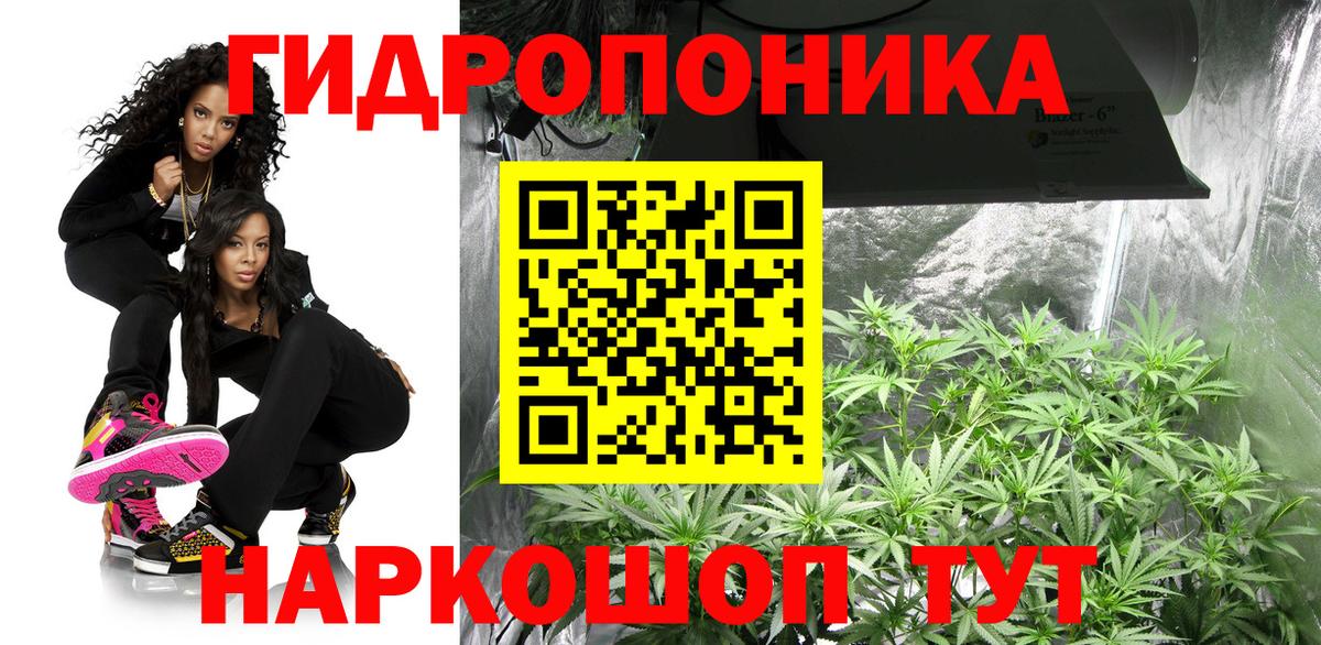 Бошки марихуана сатива Волхов